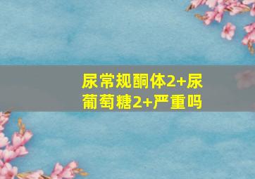 尿常规酮体2+尿葡萄糖2+严重吗