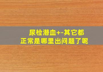 尿检潜血+-其它都正常是哪里出问题了呢