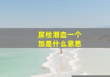 尿检潜血一个加是什么意思