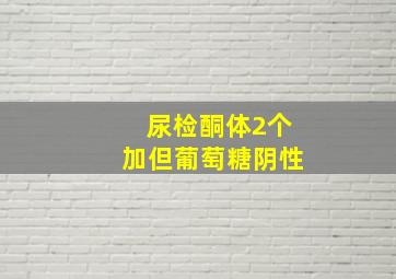 尿检酮体2个加但葡萄糖阴性