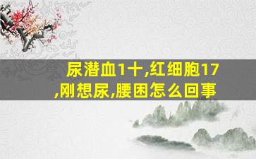 尿潜血1十,红细胞17,刚想尿,腰困怎么回事