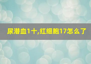 尿潜血1十,红细胞17怎么了