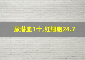 尿潜血1十,红细胞24.7