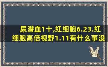 尿潜血1十,红细胞6.23.红细胞高倍视野1.11有什么事没