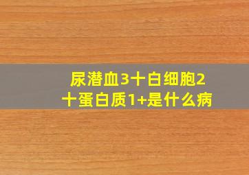 尿潜血3十白细胞2十蛋白质1+是什么病