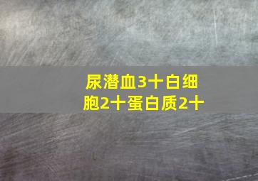 尿潜血3十白细胞2十蛋白质2十