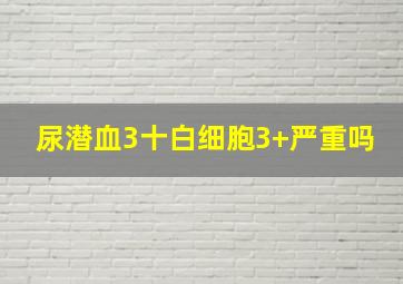 尿潜血3十白细胞3+严重吗