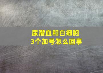 尿潜血和白细胞3个加号怎么回事