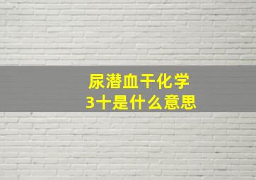 尿潜血干化学3十是什么意思