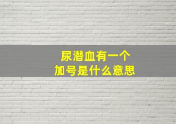 尿潜血有一个加号是什么意思