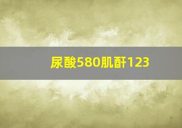 尿酸580肌酐123