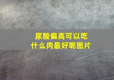 尿酸偏高可以吃什么肉最好呢图片