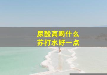 尿酸高喝什么苏打水好一点