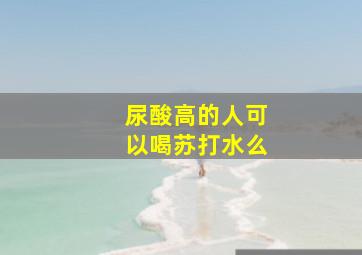 尿酸高的人可以喝苏打水么