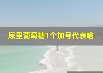 尿里葡萄糖1个加号代表啥