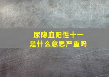 尿隐血阳性十一是什么意思严重吗