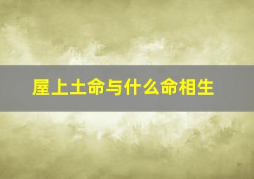 屋上土命与什么命相生