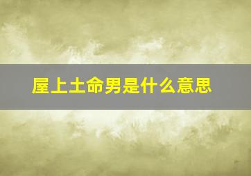 屋上土命男是什么意思