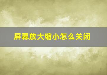 屏幕放大缩小怎么关闭