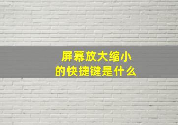 屏幕放大缩小的快捷键是什么