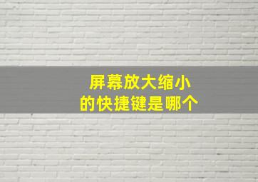 屏幕放大缩小的快捷键是哪个