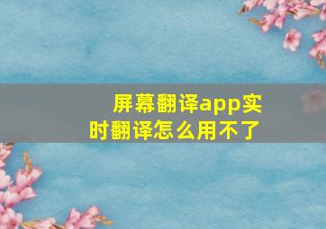 屏幕翻译app实时翻译怎么用不了