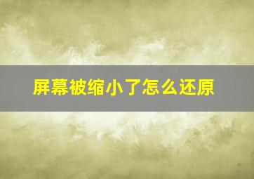 屏幕被缩小了怎么还原