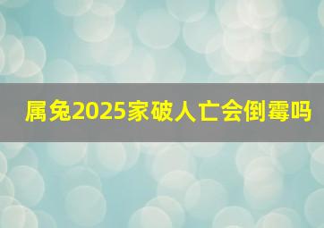 属兔2025家破人亡会倒霉吗