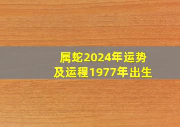 属蛇2024年运势及运程1977年出生