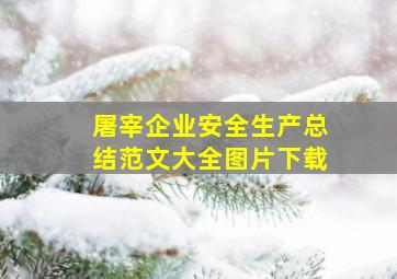 屠宰企业安全生产总结范文大全图片下载