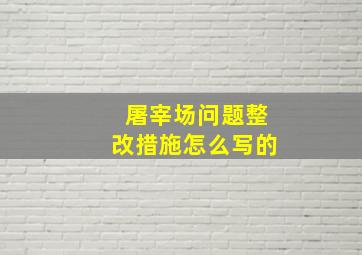 屠宰场问题整改措施怎么写的