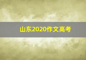 山东2020作文高考