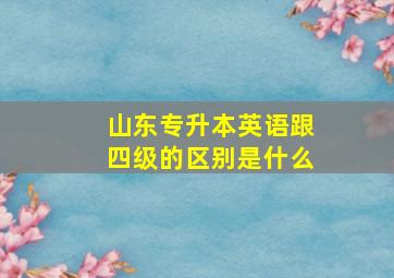 山东专升本英语跟四级的区别是什么