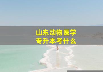 山东动物医学专升本考什么