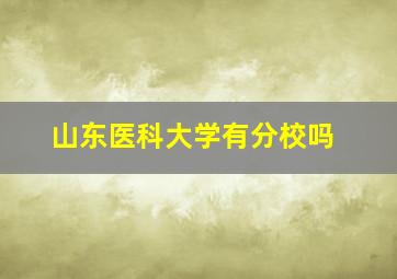 山东医科大学有分校吗