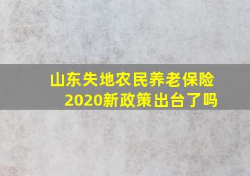 山东失地农民养老保险2020新政策出台了吗