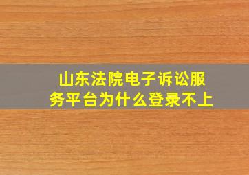 山东法院电子诉讼服务平台为什么登录不上