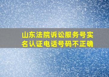 山东法院诉讼服务号实名认证电话号码不正确