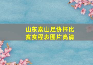 山东泰山足协杯比赛赛程表图片高清