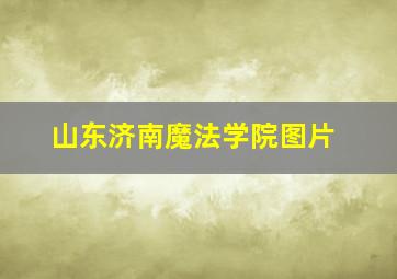 山东济南魔法学院图片