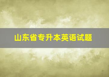 山东省专升本英语试题