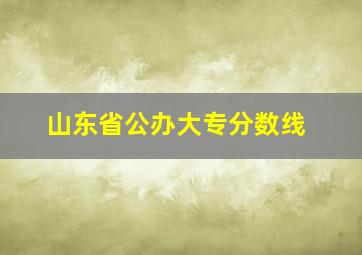 山东省公办大专分数线