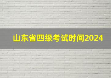 山东省四级考试时间2024