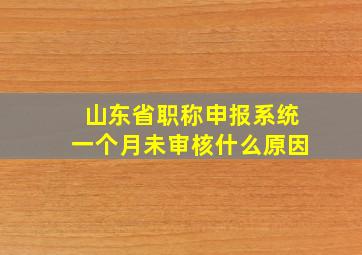 山东省职称申报系统一个月未审核什么原因