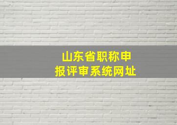 山东省职称申报评审系统网址