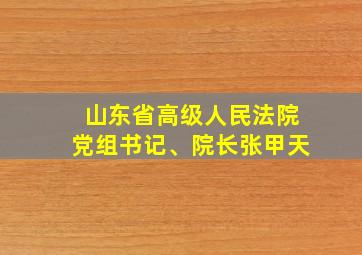 山东省高级人民法院党组书记、院长张甲天