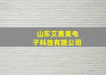 山东艾赛美电子科技有限公司