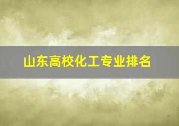 山东高校化工专业排名