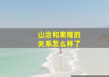 山治和索隆的关系怎么样了