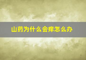 山药为什么会痒怎么办